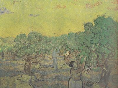Vincent Van Gogh Olive Grove with Picking Figures (nn04)